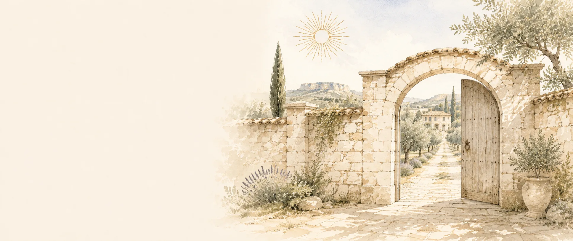 Illustration aquarelle : paysage de Provence et oliviers